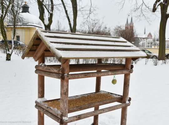 Na terenie Białegostoku trwa sezon zimowego dokarmiania ptaków
