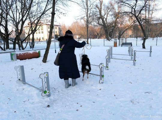 W Białymstoku został otwarty kolejny park dla psów