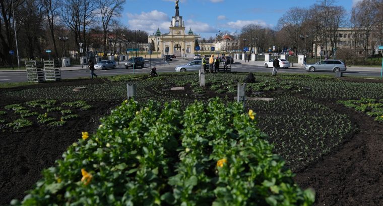W Białymstoku rozpoczyna się sadzenie kwiatów na skwerach, rondach, w parkach