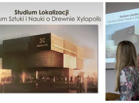 W Podlaskim Muzeum Kultury Ludowej powstanie Xylopolis