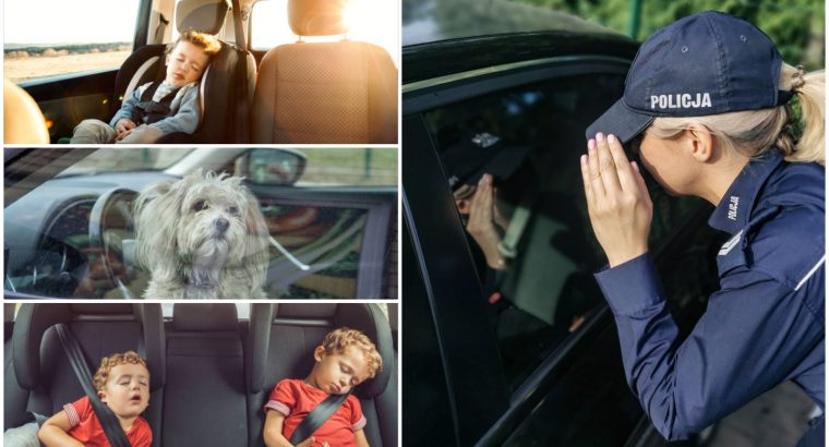 Policja apeluje: Nie zostawiaj dzieci oraz zwierząt w rozgrzanym samochodzie