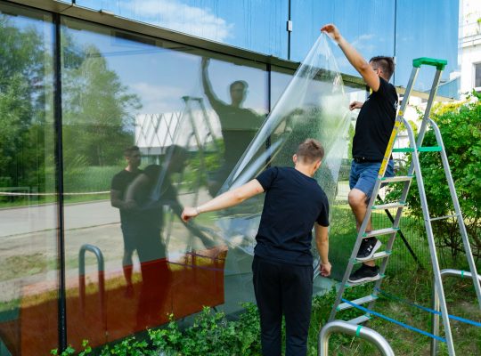 UwB przetestuje specjalną, niewidoczną dla ludzi folię ograniczającą kolizje ptaków ze szklanymi powierzchniami