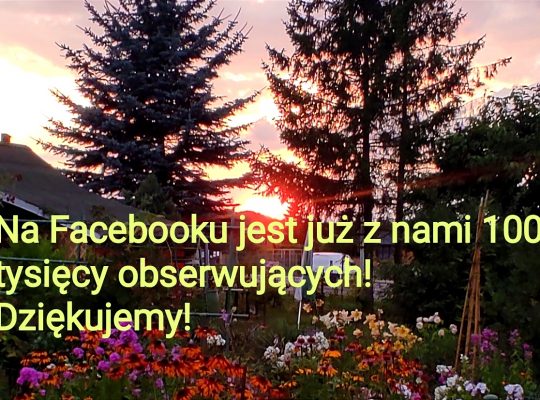 Na Facebooku jest już z nami 100 tysięcy obserwujących!