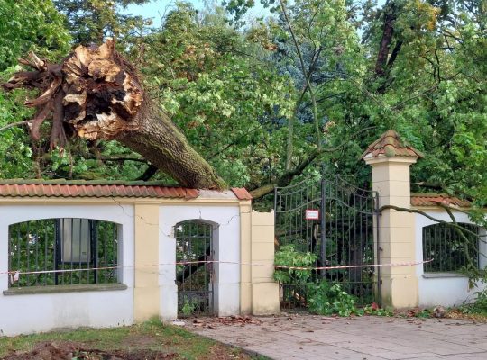 15 tys. odbiorców bez prądu po burzach w woj.podlaskim