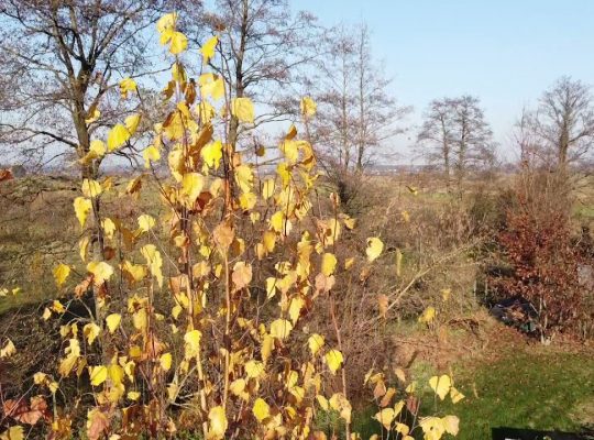 IMGW: w środę pogodnie i zimno