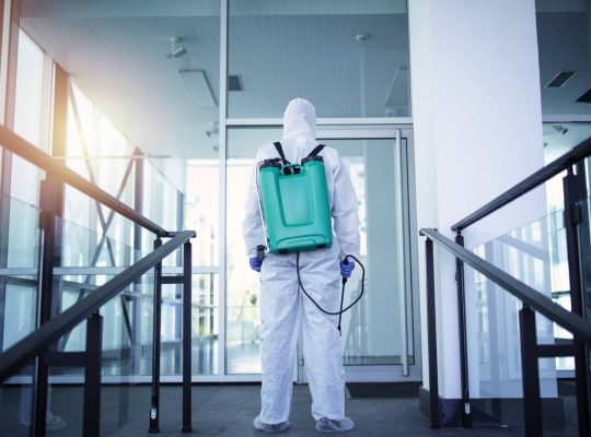 Białystok: dezynsekcja mieszkania a bezpieczeństwo mieszkańców. Co warto wiedzieć w tym temacie?
