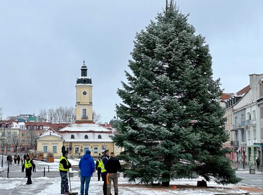 Białystok. Na Rynku Kościuszki coraz bardziej świątecznie