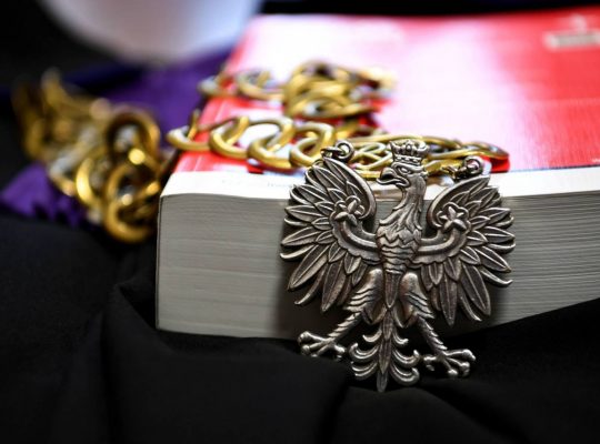 6,5 roku więzienia dla recydywisty z Pułtuska m.in. za brutalny gwałt na znajomej