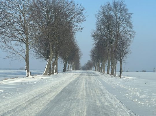 Zima atakuje a PKS Nova odwołuje kursy