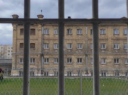 Białystok. Półtora roku więzienia za wyrzucenie psa przez balkon