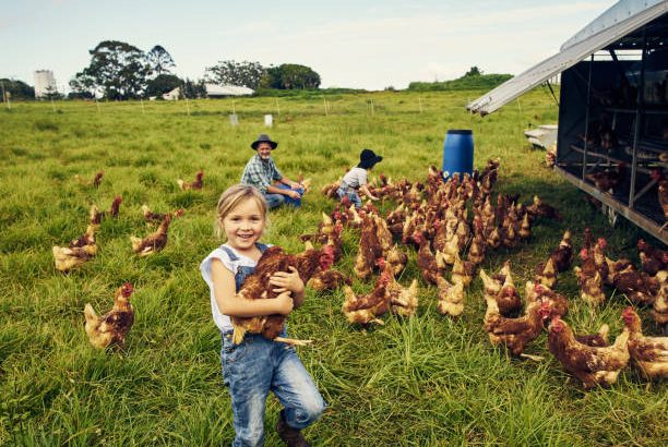 KRUS organizuje konkurs dla dzieci rolników