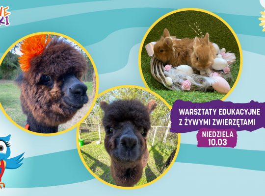 Puchata Radość w kinie Helios w Galerii Alfa. Będzie alpaka, miniaturowa kózka i króliczki