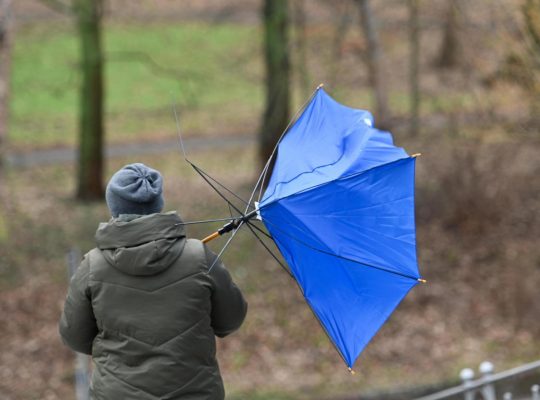 IMGW wydał ostrzeżenia o silnym wietrze