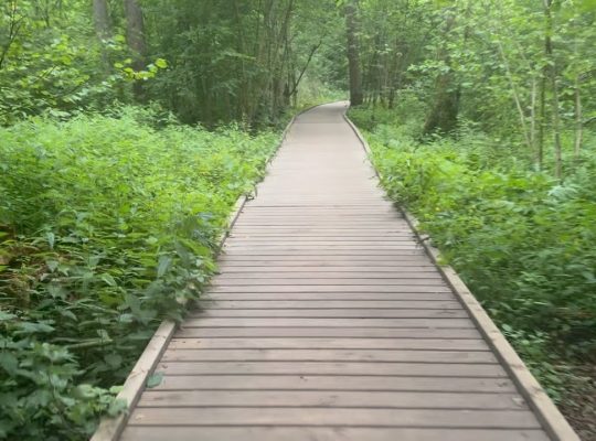 Moda na kładkę w Krzemiance. Atrakcję odwiedzają tłumy