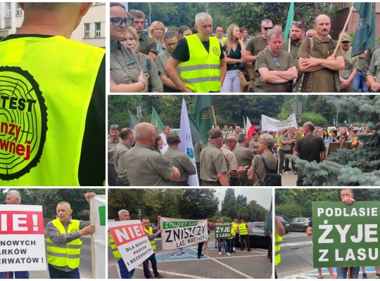 Ogólnopolski protest leśników – FILM