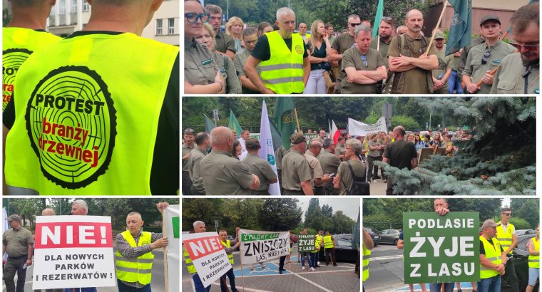 Ogólnopolski protest leśników i pracowników branży drzewnej – FILM