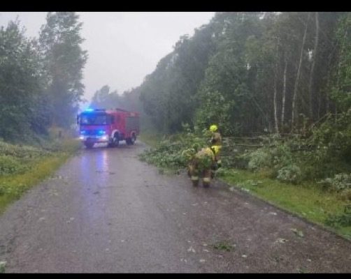 Interwencje strażaków po burzach