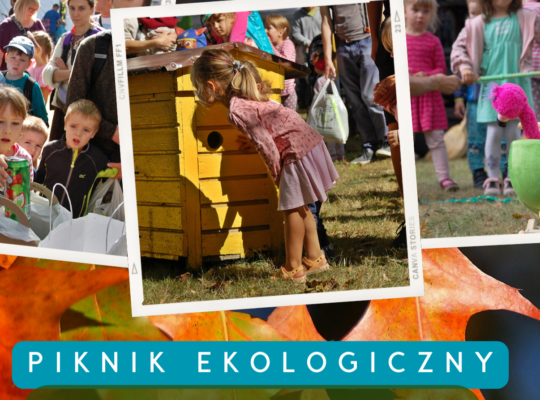 Ekologiczny koniec lata w Białymstoku