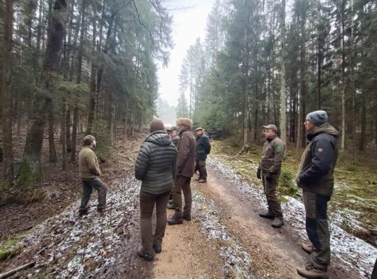 RDLP: Rozpoczęto prace nad planem gospodarowania zasobami wodnymi dla obszaru Puszczy Augustowskiej