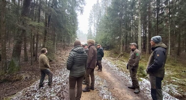 RDLP: Rozpoczęto prace nad planem gospodarowania zasobami wodnymi dla obszaru Puszczy Augustowskiej