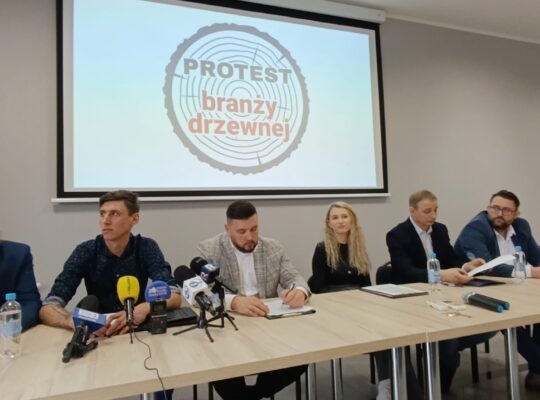 Protest Branży Drzewnej przeciw planom wstrzymania wycinki na kolejnych obszarach leśnych