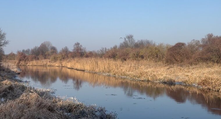 Propozycja na Walentynki. Spacer nad Supraślą