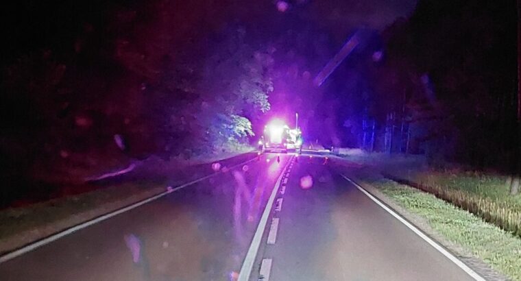 Zginął kierowca, który w nocy najechał na drzewo w Chrabołach