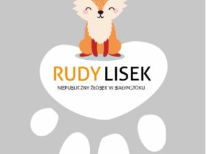 Żłobek Białystok – Rudy Lisek