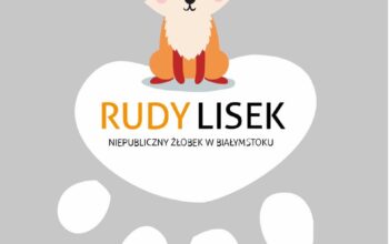 Żłobek Białystok – Rudy Lisek