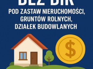 Pożyczka bez BIK pod zastaw