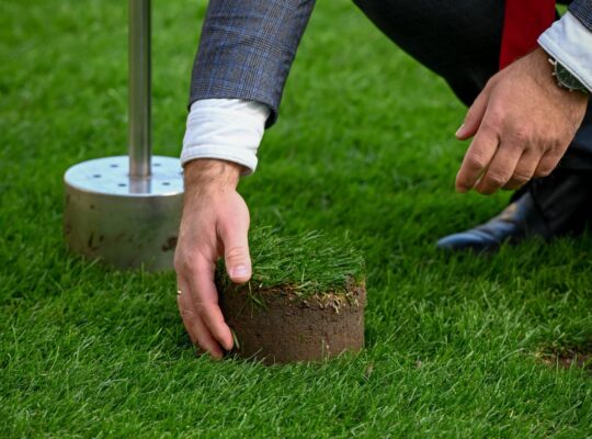 Ekstraklasa piłkarska – remont boiska i wymiana murawy na stadionie Jagiellonii