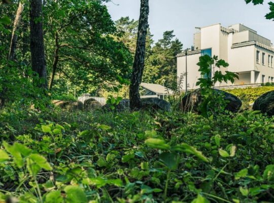 Przy Uniwersytecie w Białymstoku powstanie Park Bioróżnorodności