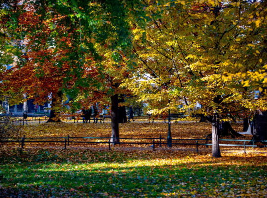 Białystok.  W niedzielę akcja prozdrowotna „Nie ma złej pogody na spacer dla zdrowia”