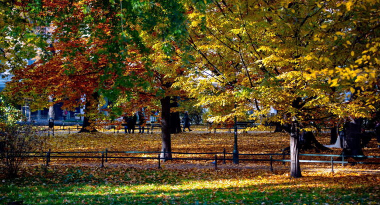 Białystok.  W niedzielę akcja prozdrowotna „Nie ma złej pogody na spacer dla zdrowia”