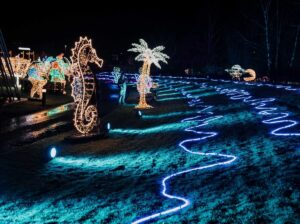 Białystok i okolice po raz pierwszy rozbłysną milionem świateł. Otwiera się  największy park iluminacji na Podlasiu.