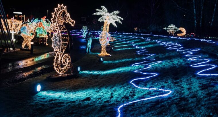Białystok i okolice po raz pierwszy rozbłysną milionem świateł. Otwiera się  największy park iluminacji na Podlasiu.