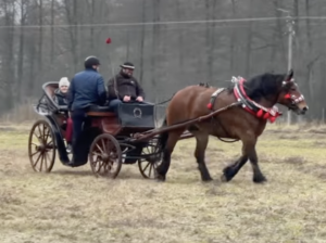 Hubertus w Wojtkach 2025 – tradycja, konie i podlaskie serce