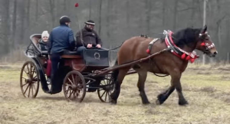 Hubertus w Wojtkach 2025 – tradycja, konie i podlaskie serce