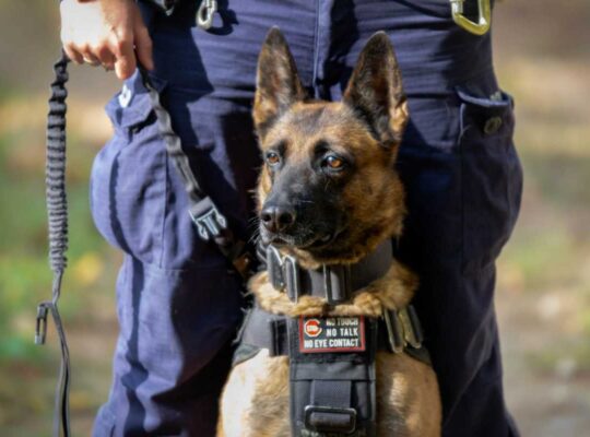 Po 8 latach Luna przechodzi na emeryturę