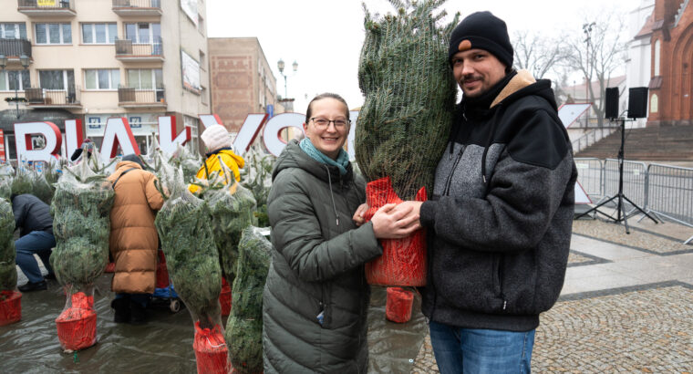 Białystok. 200 naturalnych drzewek choinkowych dostali mieszkańcy w zamian za elektroodpady i sztuczne choinki