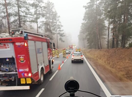 Białystok – Korycin. Utrudnienia po zderzeniu z łosiem