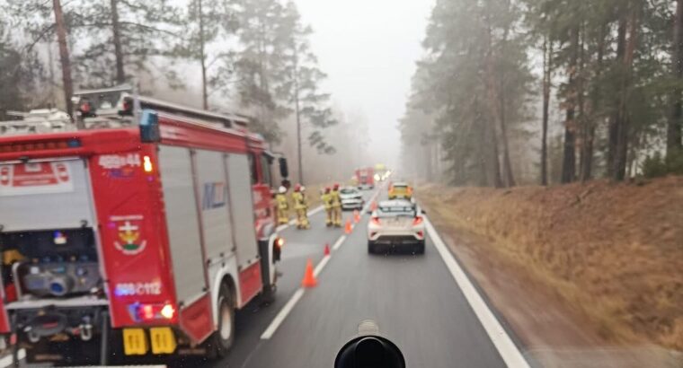 Białystok – Korycin. Utrudnienia po zderzeniu z łosiem